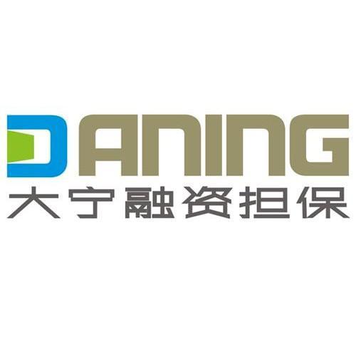 大寧融資擔(dān)保