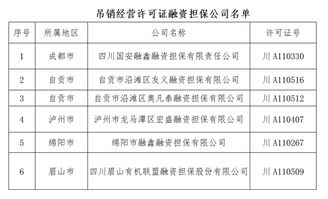 四川吊銷6家融資擔保公司經(jīng)營許可證 9家公司被責令停業(yè)整頓