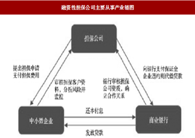 2018年我國融資性擔保行業(yè)發(fā)展現狀、弊端及其對策建議分析(圖)