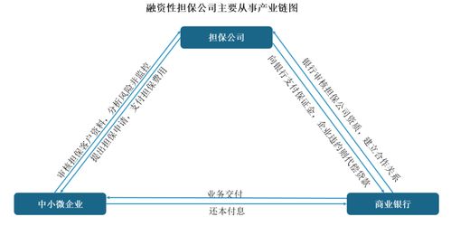 中國融資性擔保行業(yè)發(fā)展趨勢分析與投資前景預測報告 2022 2029年