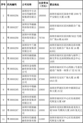 深圳市融資性擔(dān)保機(jī)構(gòu)名單