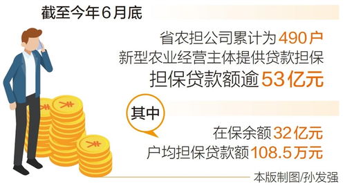 上半年新增擔保貸款額約16.5億元